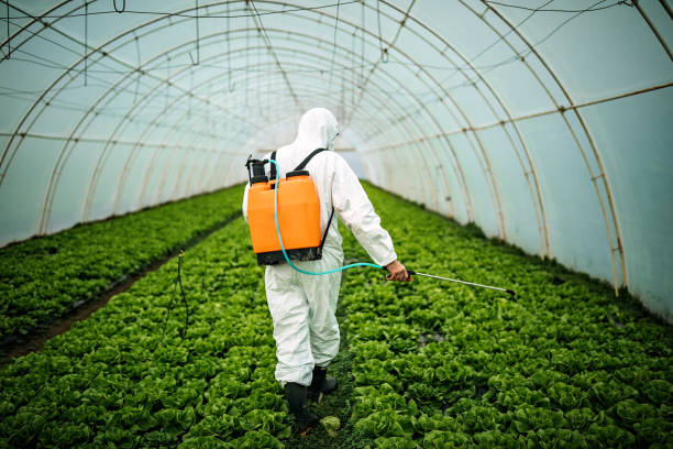 Best Affordable Pest Control Services  in Troy, NC